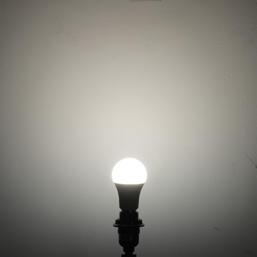 A19 LED Light Bulbs 11W