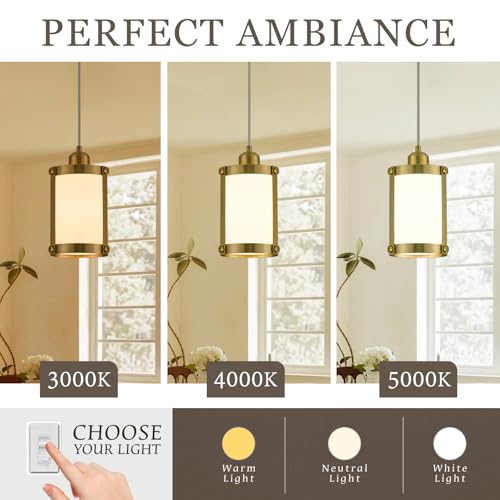 Brushed Gold Pendant Lights Kitchen Islands (Gold + Milk Glass / 1-Light Pendant, 3 Pack)