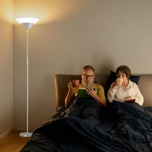 Torchiere Floor Lamp (Silver)