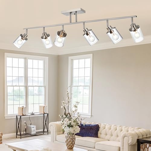 6 Light Directional Track Lighting Kit (Brushed Nickel / 6-Light)