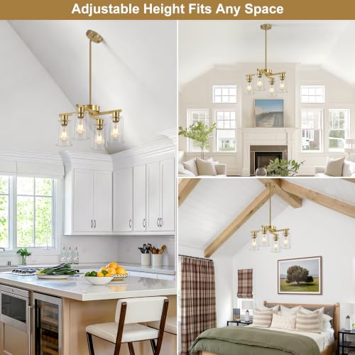 4 Light Brushed Gold Chandelier (Gold / 4-Lights/D18 '')