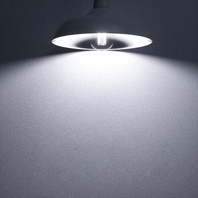 A19 LED Edison Bulbs Dimmable Vintage