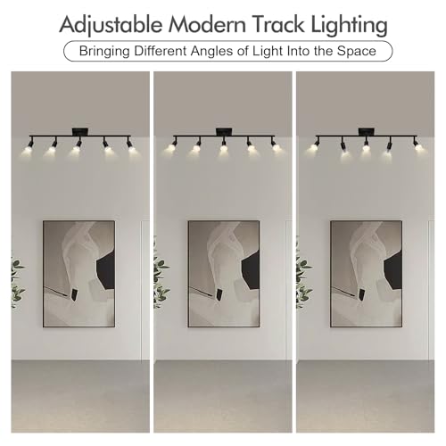 5 Light Track Lighting Fixtures Ceiling (5 light -black(small))