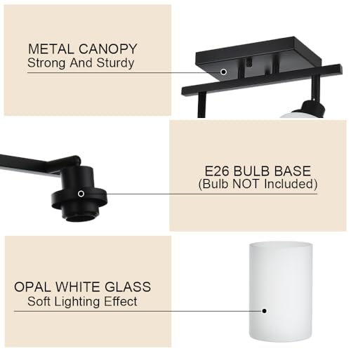 Wall Sconce Track Lighting Kit (Black / 2-Lights)