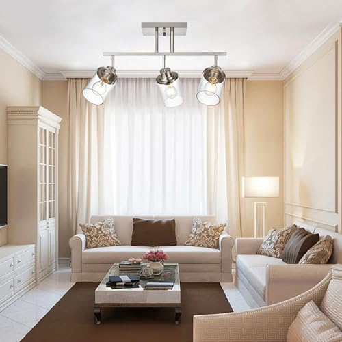 Track Lighting Fixtures 3 Light Directional Ceiling Lights with Adjustable Track Heads (Brushed Nickel / 3-Light)