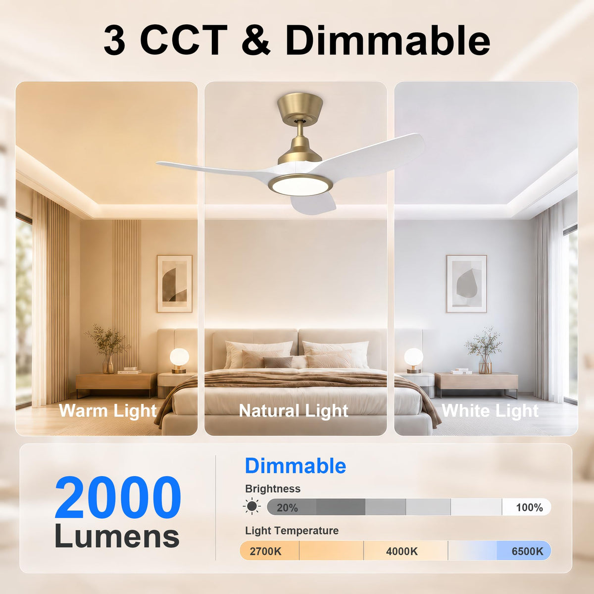 2 Pack 36" Small Ceiling Fan with Light (White & Gold / 36 Inch)
