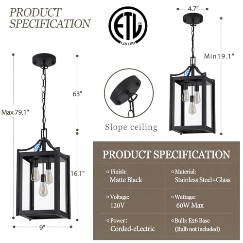 Outdoor Pendant Lights for Porch (Black / Large-Clear Glass)