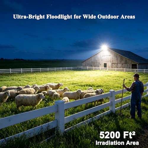 200W Dusk to Dawn Outdoor Light (100W*2-DTD)