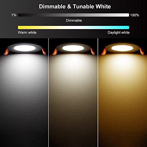 Smart 2 Inch Recessed Lighting (RGB (Red, Green, Blue) / 4 Pack (Black))
