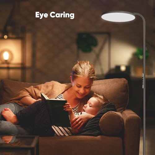 36W LED Floor Lamp (Gunmetal Gray)
