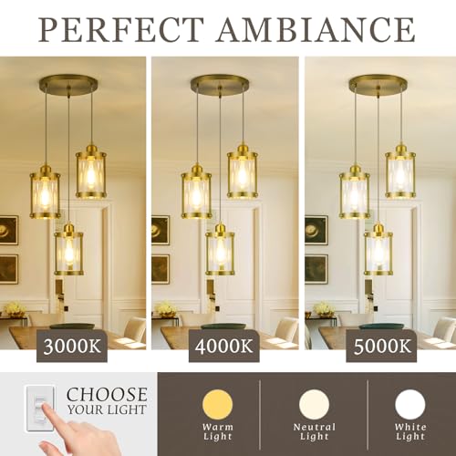 Brushed Gold 3 (Gold + Clear Glass / 3-Light Ceiling Chandelier)