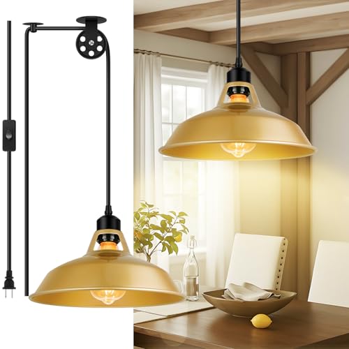 Plug in Pendant Light (Gold / 1 Pack)