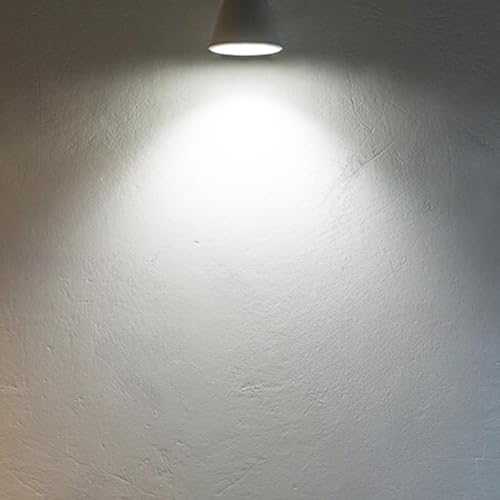 A19 LED Light Bulbs