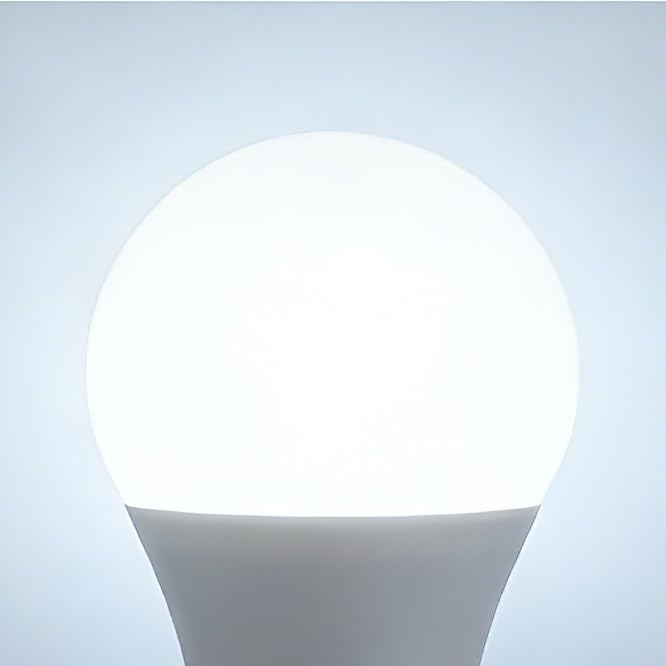 A19 60W 5000K Daylight White 4