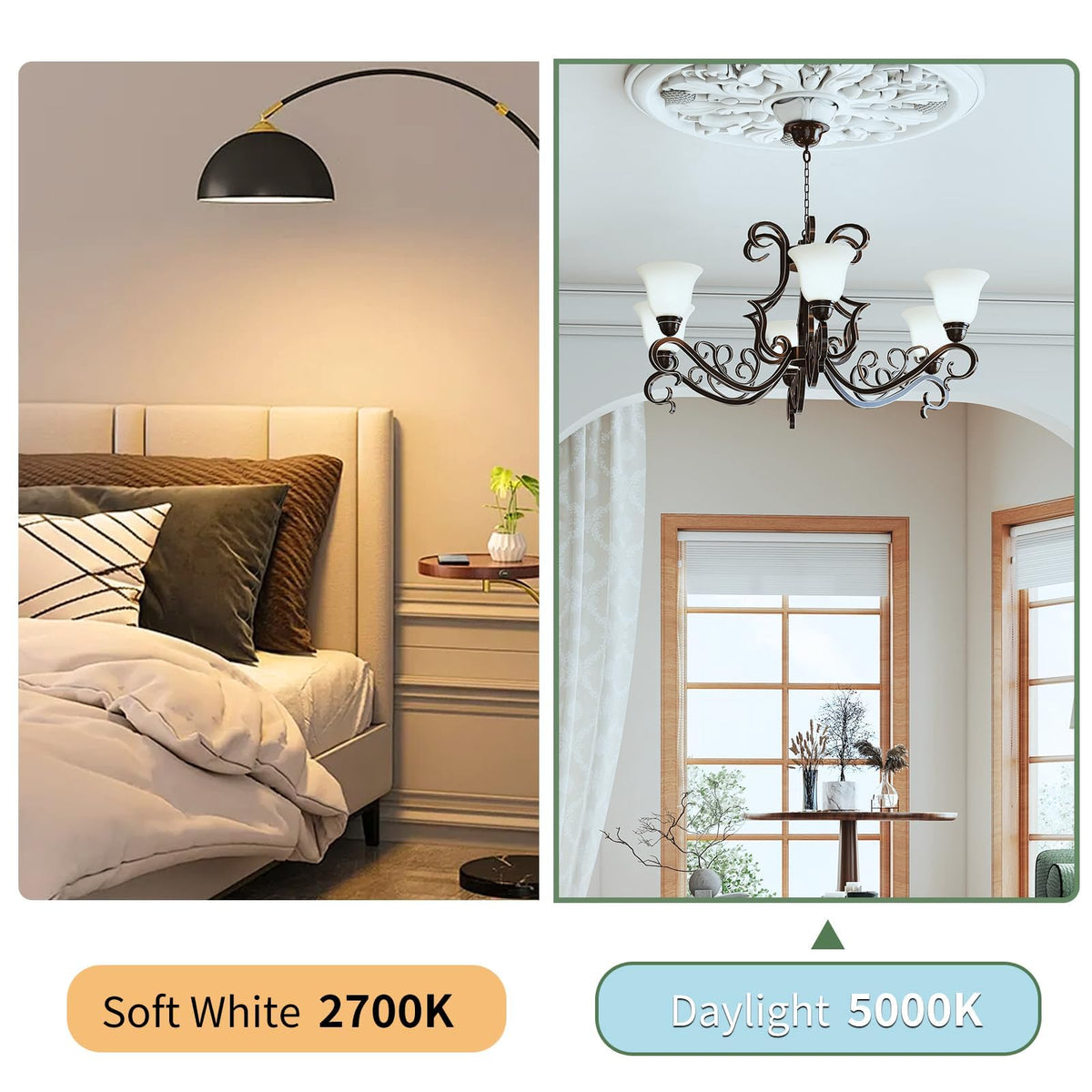 6 Pack LED Light Bulbs (Daylight 5000k / 6 Piece)