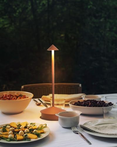 2 Pack Aluminum Cordless Table Lamp (Brown)