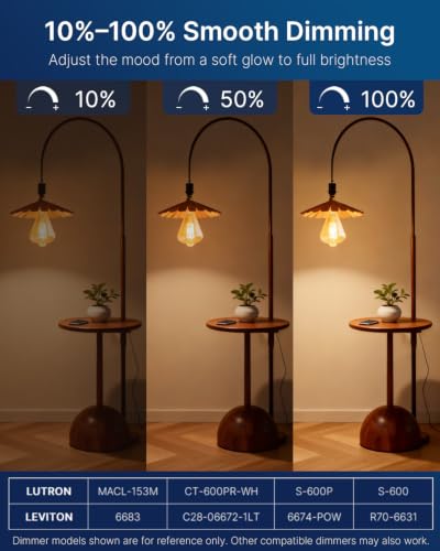 Oversized LED Edison Bulb