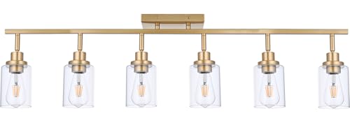 6 Light Track Lighting Kits Gold (Gold / 6-Light)