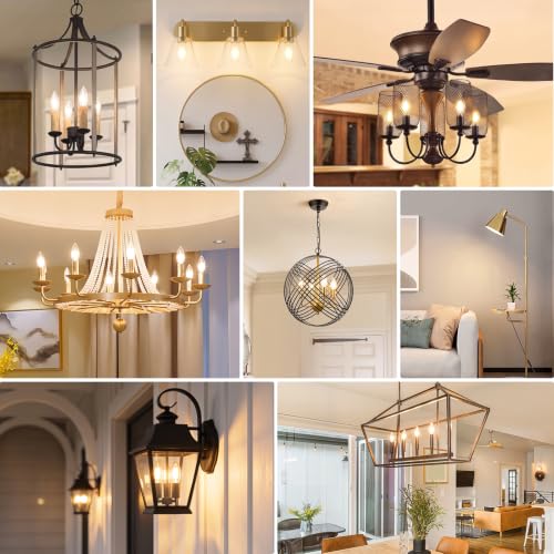 E12 LED Candelabra Bulbs (Warm White Light / 24 Count (Pack of 1))