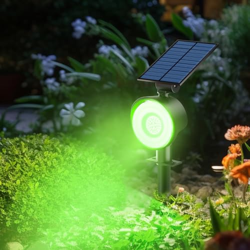 Solar Spot Lights Outdoor