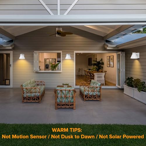 2 Pack LED Outdoor White Front Porch Lights (C-White)