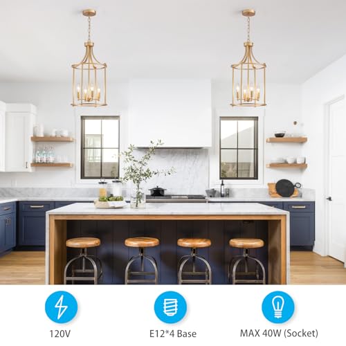 Gold Chandeliers for Dining Room (Gold)