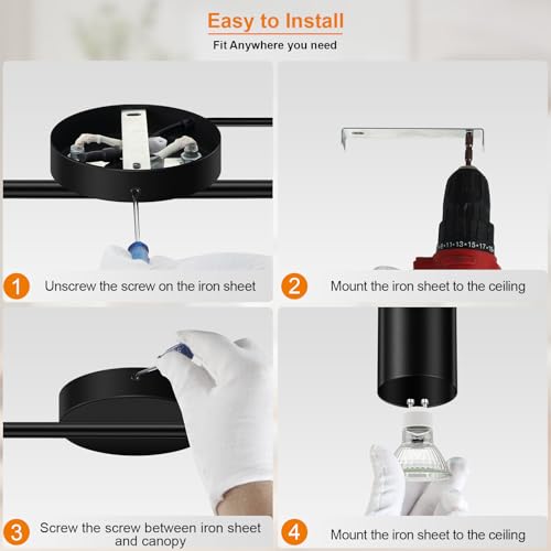 Plug in Track Lighting LED (6-Light Track Light(Black))