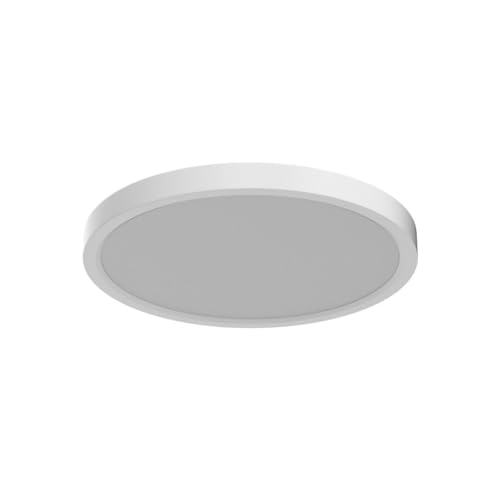 Dimmable LED Flush Mount Ceiling Light with Remote Control