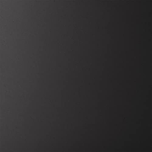 60347 2 Light Flush Mount Ceiling Light