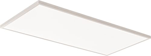 2x4 LED Flat Panel Light Adj Lumens