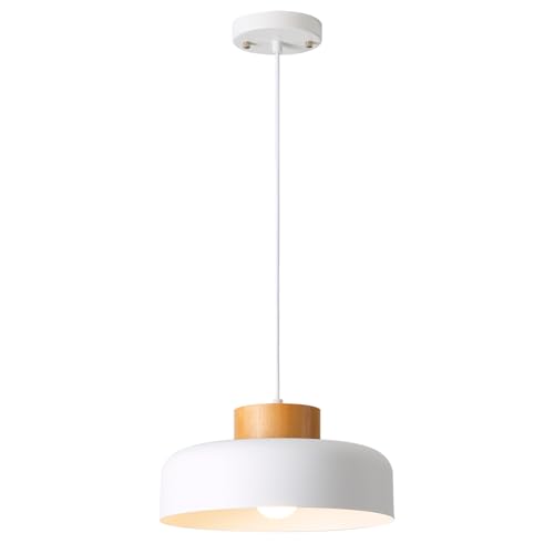 Modern Pendant Light