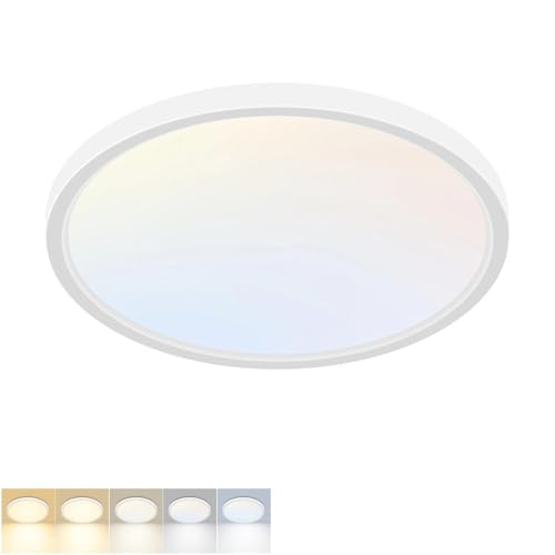LED Flush Mount Ceiling Light