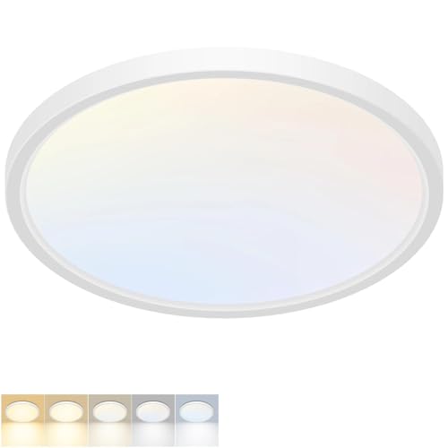 LED Flush Mount Ceiling Light