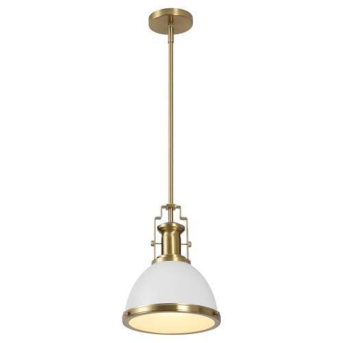 Homer Industrial Dome Pendant 10"