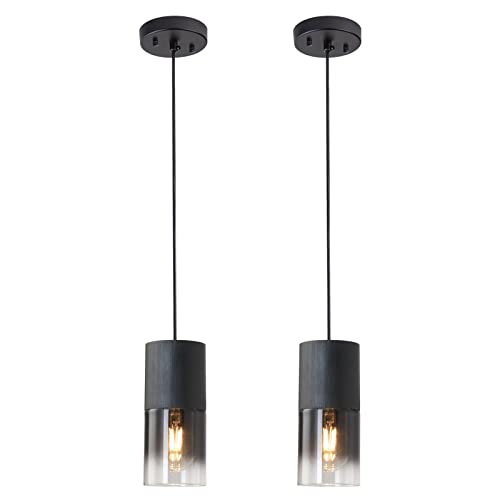 2 Pack Black Pendant Light Fixtures (2 Count)