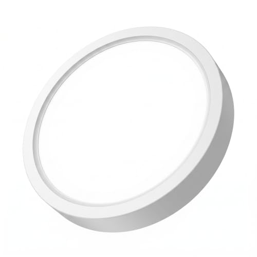 Flush Mount Ceiling Light