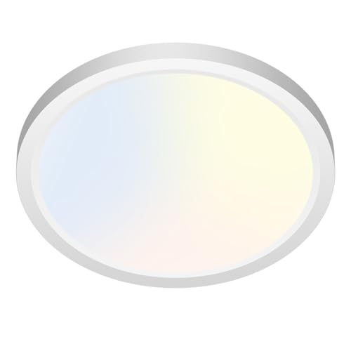 LED Ceiling Light Fixture 6.5 Inch
