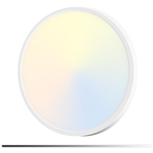 15" LED Flush Mount Ceiling Light