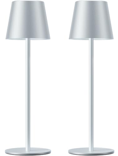 Silver Grey Cordless Lamp Rechargeable (2 Count)