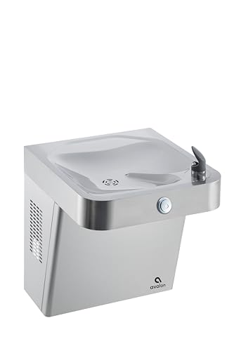 Wall Mounted Water Fountain with Bottle Filling Station