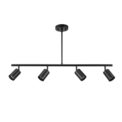 4 Light Track Lighting