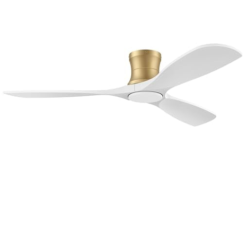 Flush Mount Ceiling Fans with Lights and Remote