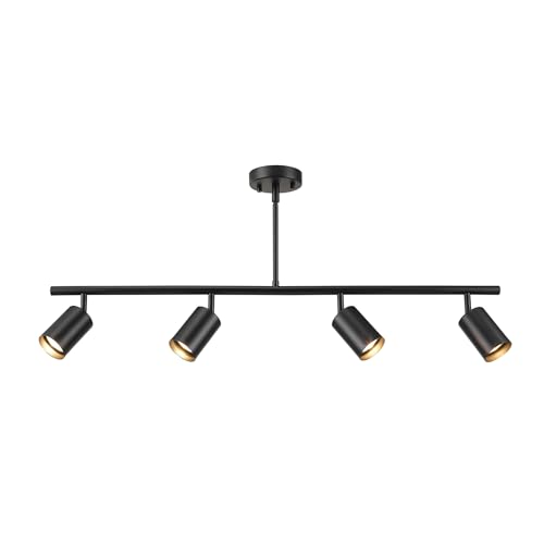 4 Light Track Lighting