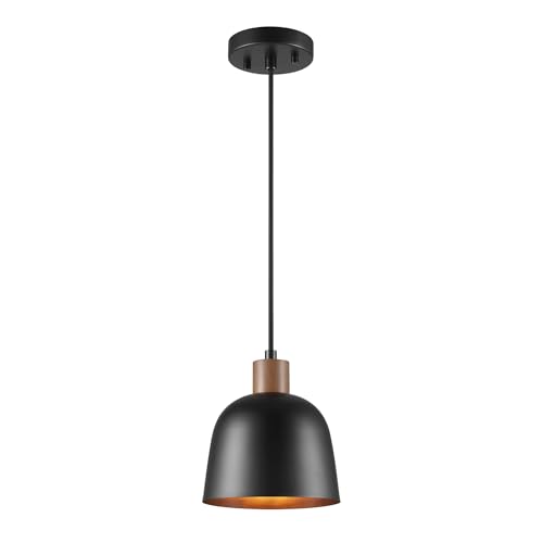 67000193 1 Light Pendant Lighting