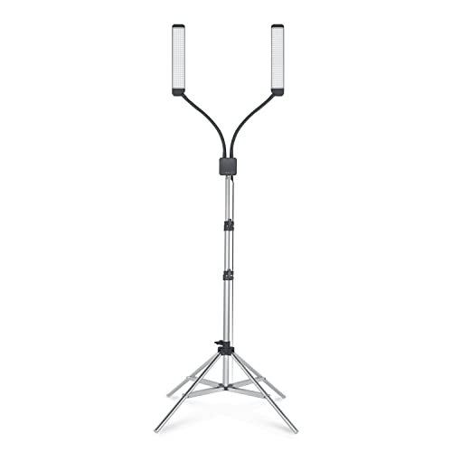 Elite X Table Top Light Kit