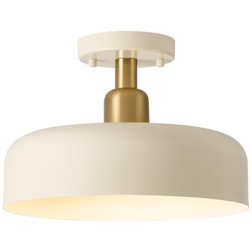 Semi Flush Mount Ceiling Light Fixture