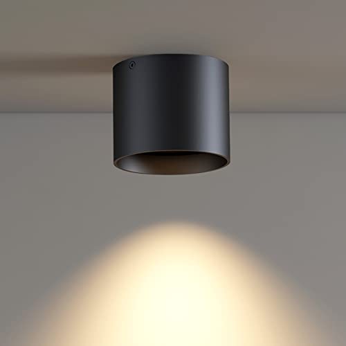 Ceiling Light Fixture