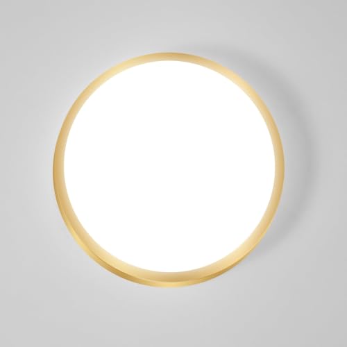 2PACK Flush Mount LED Ceiling Light Fixture