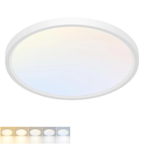 LED Flush Mount Ceiling Light Fixture 12Inch 24W 2800LM