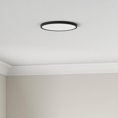 2 Pack 10 Inch LED Flush Mount Ceiling Light (2 Count)